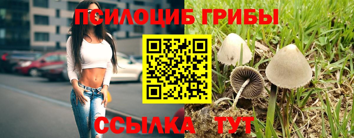 Псилоцибиновые грибы Psilocybe  Вход с VPN  Волоколамск 